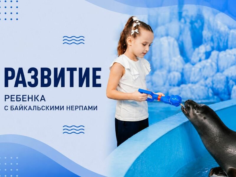 Развитие ребенка с байкальскими нерпами