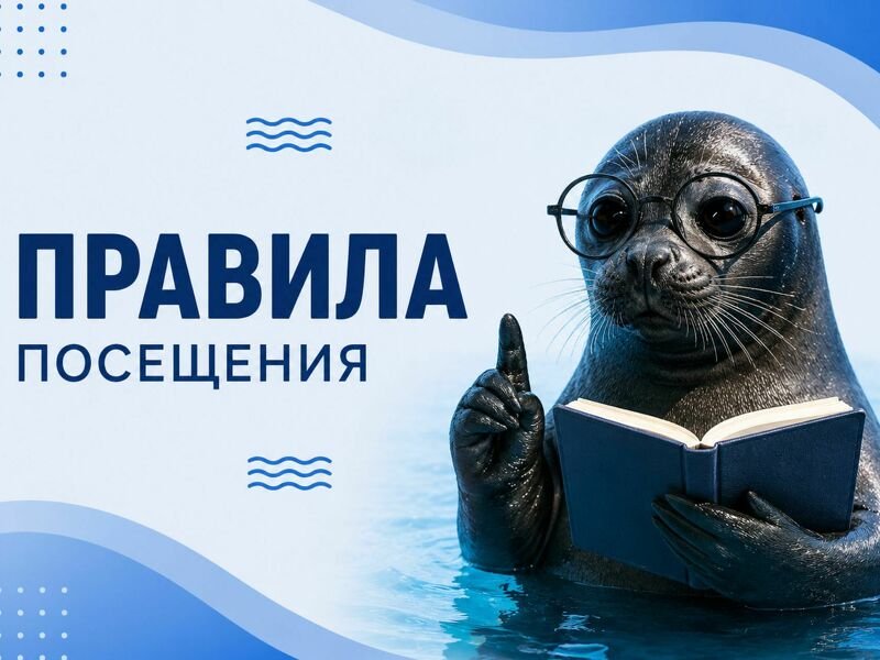 Правила посещения