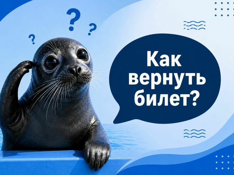 Как вернуть билет?