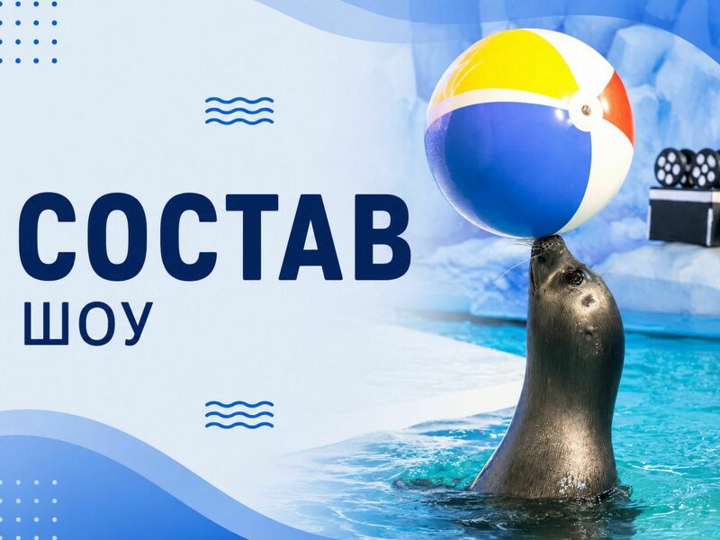 Состав шоу