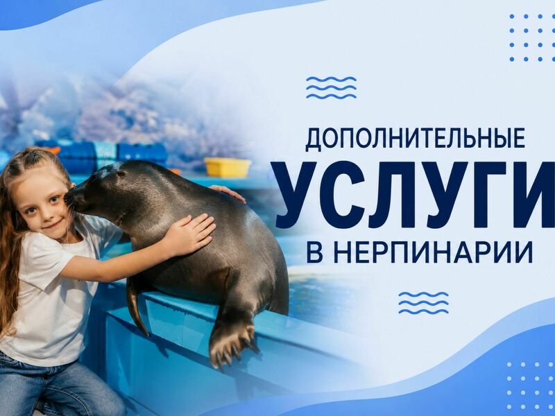 Дополнительные услуги в Нерпинарии