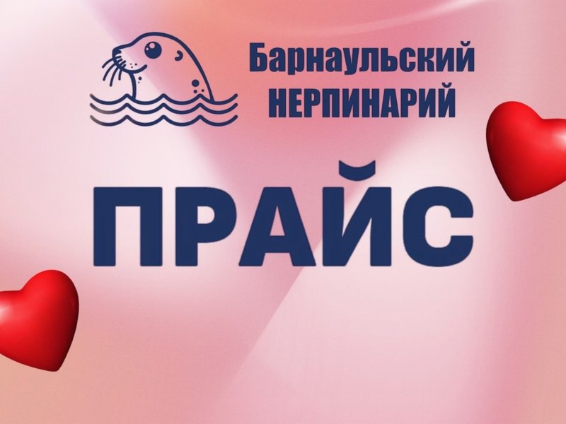 Расписание и цены