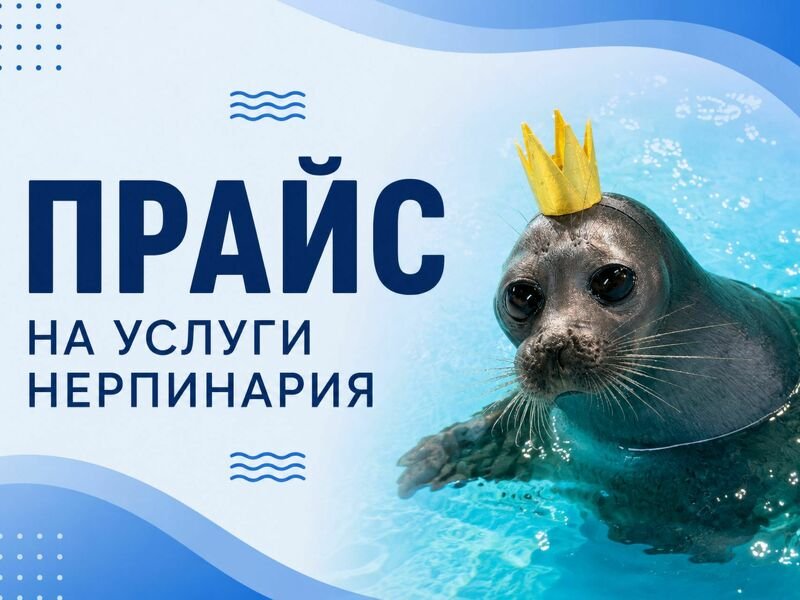 Расписание и цены