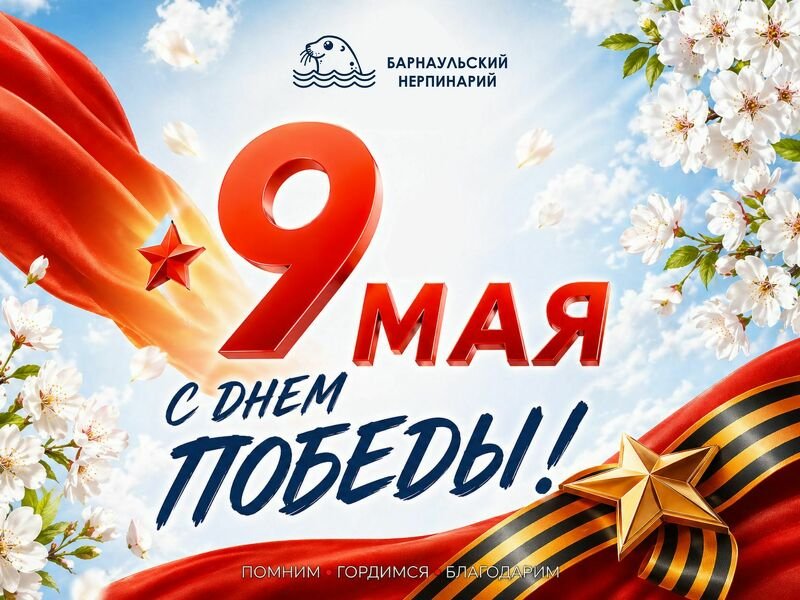 Дорогие гости!