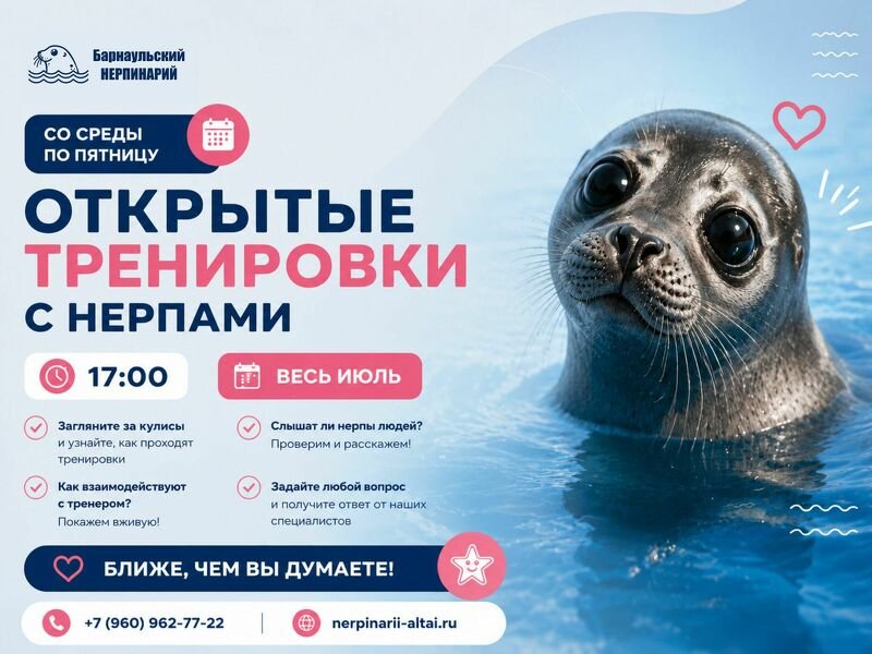 Загляните за кулисы Барнаульского Нерпинария!