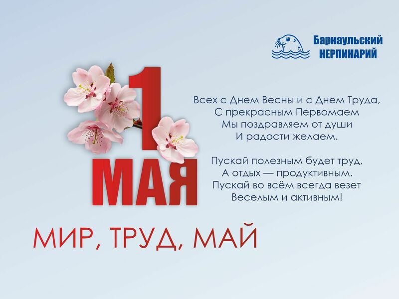 Мир, труд, май
