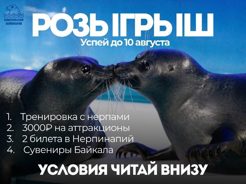 Розыгрыш