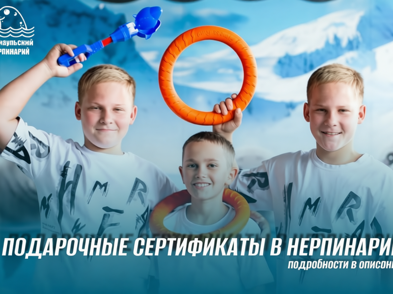 Подарочные сертификаты Нерпинария уже в продаже!