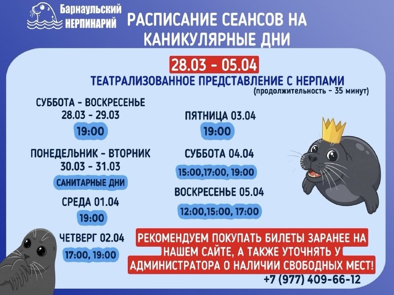 Измененное расписание сеансов на период каникул