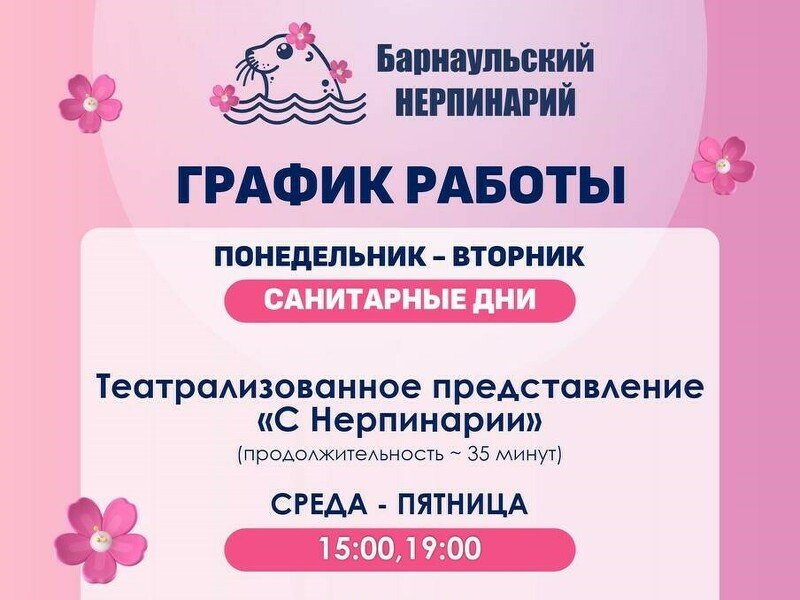 Прайс и расписание представлений в Нерпинарии