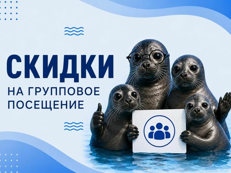 Скидки на групповые посещения