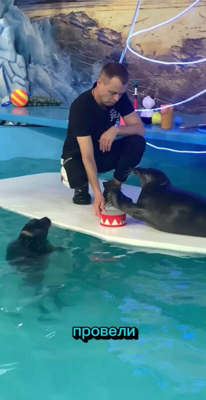 Год выдался суматошный.