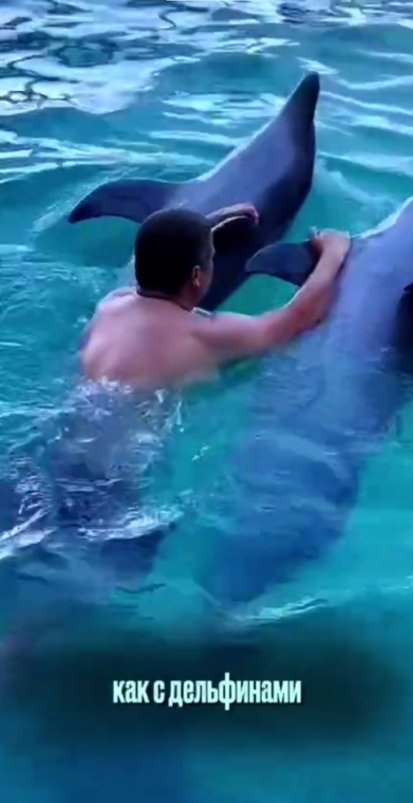 Глядя на игривых нерп, вы хоть раз мечтали нырнуть с ними в воду?